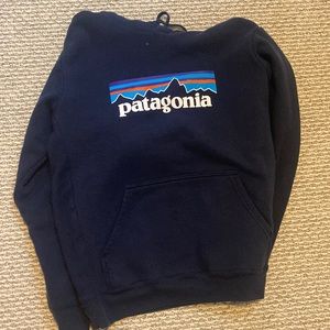 navy patagonia hoodie